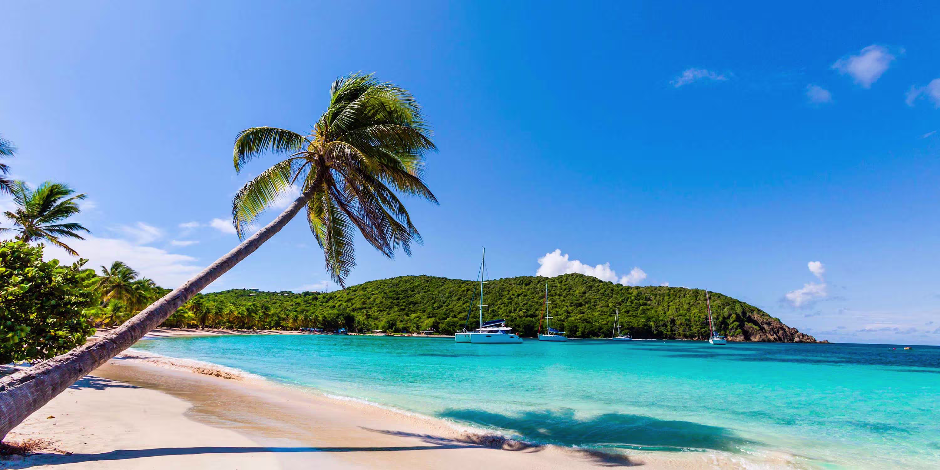 Caribbean