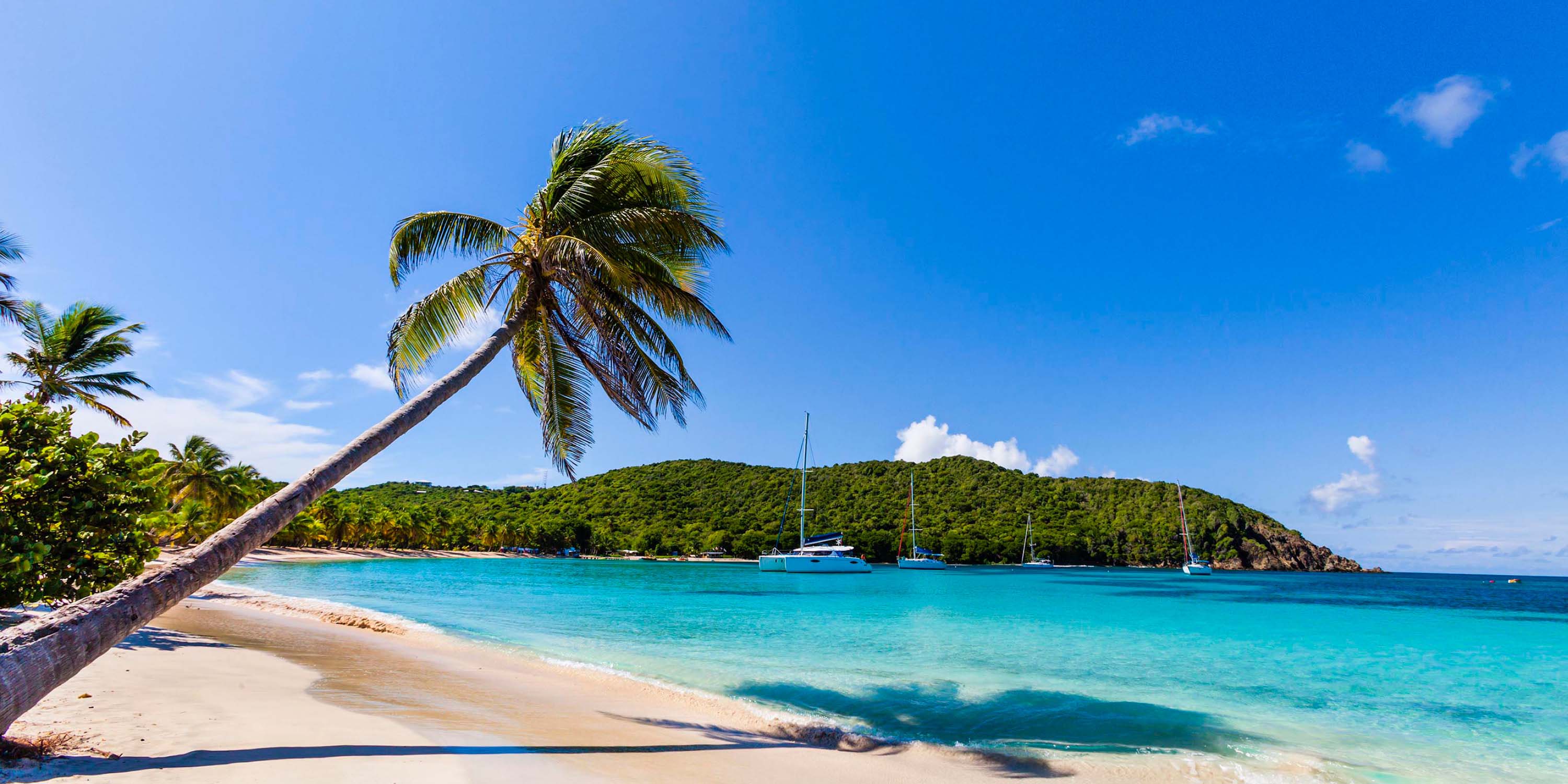 Caribbean Deal
